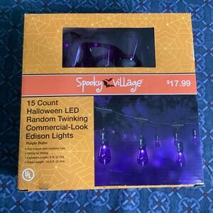 Spooky Village 15 Count Halloween LED Random Twinking Edison Lights